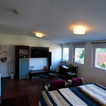 Business Hoefle 4* Heppenheim (Bergstrasse)